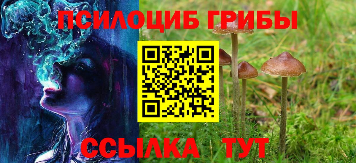 Сальск  Псилоцибиновые грибы GOLDEN TEACHER  Вход с VPN 