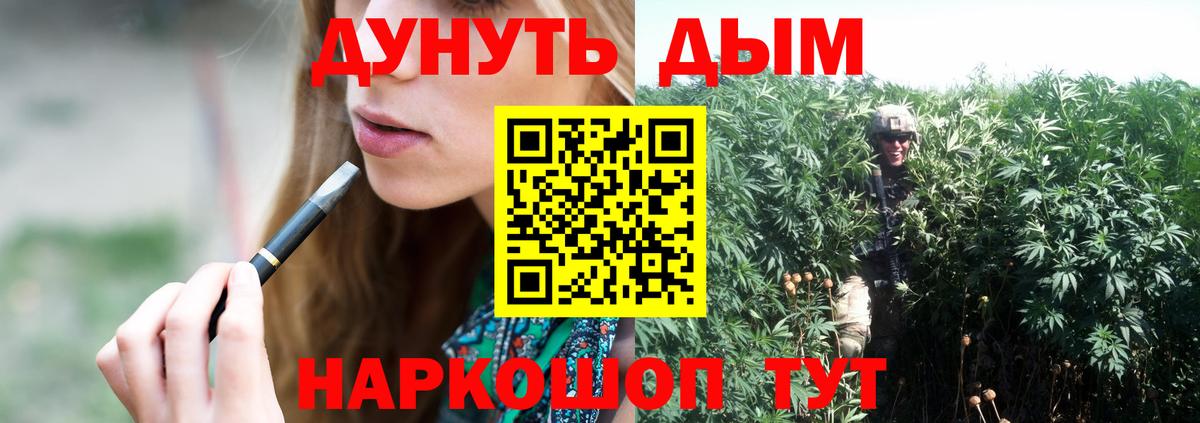 Конопля Ganja Сальск